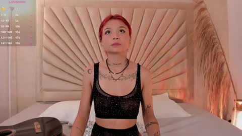           online show from November 11, 2025, 12:16 pm