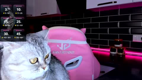 Shaiya online show from January 17, 2025, 8:02 am