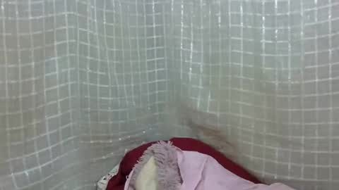 erotic_ebony56 online show from April 16, 2026, 8:04 am