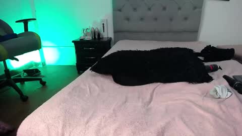 Snapshot of esmeraldaa_sc chatting on November 12, 2025, 6:03 am Perla online show from November 12, 2025, 6:03 am