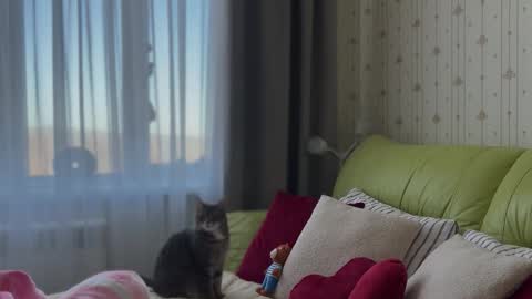 Estella online show from February 3, 2026, 6:22 am