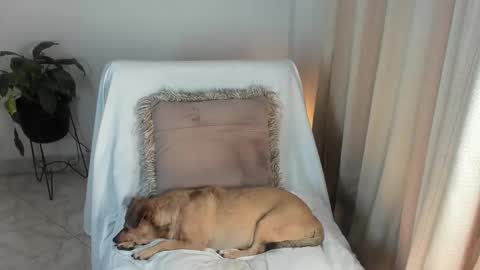 - E S T R E L L A  M I L F - online show from October 6, 2025, 4:10 am