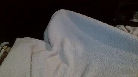 eu369033 online show from February 25, 2026, 8:07 pm