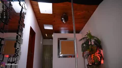 Snapshot of evelyn_evelyn chatting on February 17, 2026, 3:51 pm evelyn evelyn online show from February 17, 2026, 3:51 pm