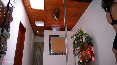 Snapshot of evelyn_evelyn chatting on February 18, 2026, 4:14 pm evelyn evelyn online show from February 18, 2026, 4:14 pm