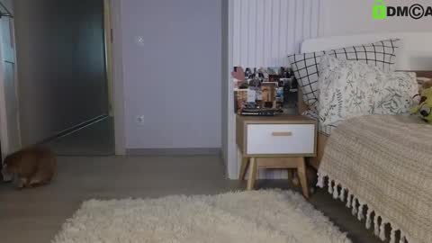 Snapshot of evi_woow chatting on February 22, 2025, 5:13 pm evi_woow online show from February 22, 2025, 5:13 pm