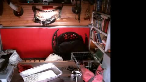 Snapshot of evpierce chatting on April 11, 2026, 7:13 am EvPierce online show from April 11, 2026, 7:13 am