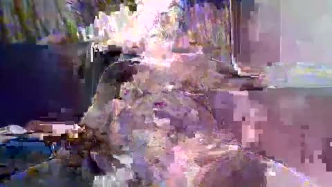 Naaktloper online show from February 10, 2026, 4:22 pm