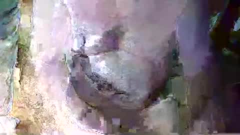 Snapshot of expogent chatting on April 10, 2026, 7:24 am expogent online show from April 10, 2026, 7:24 am