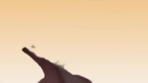 fabinou32 online show from November 22, 2025, 2:49 pm