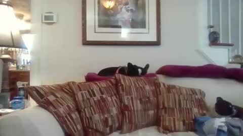 Snapshot of fairmount31 chatting on November 12, 2025, 4:51 pm fairmount31 online show from November 12, 2025, 4:51 pm