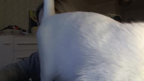 Arisha online show from November 6, 2025, 1:01 pm