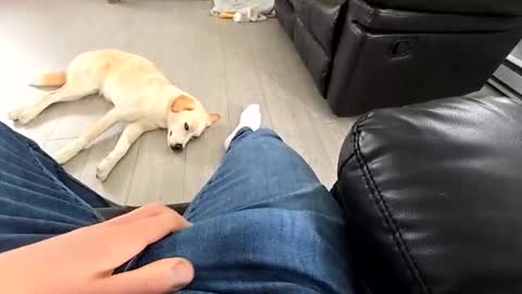 faker1414 online show from March 19, 2026, 3:49 pm