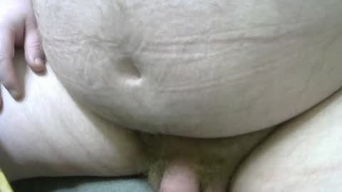 Snapshot of falso_aleatorio chatting on January 24, 2025, 5:10 am Fake Random online show from January 24, 2025, 5:10 am