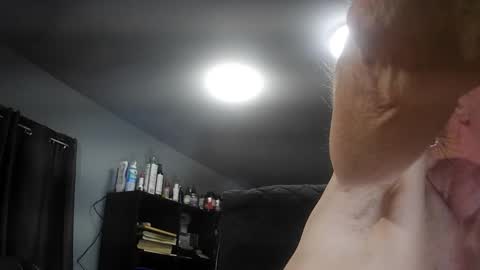 fantasyresort online show from November 9, 2025, 4:11 am