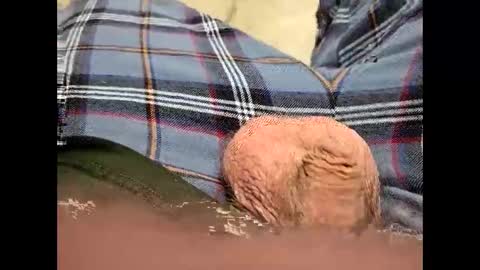 fartinmymouthplz online show from November 18, 2025, 3:45 am