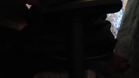 Fat Bernd online show from October 26, 2025, 3:51 pm