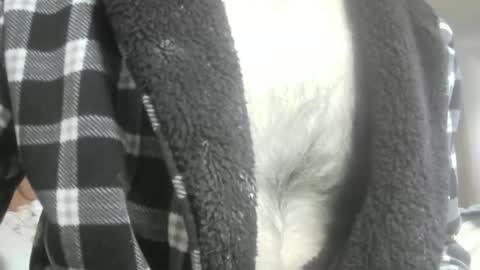 feardubh online show from February 16, 2026, 10:44 am