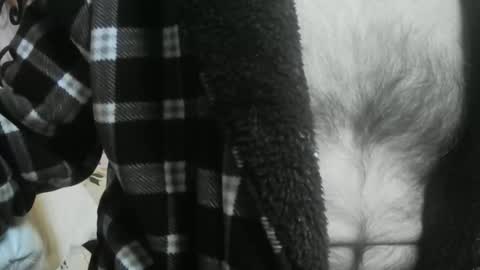 feardubh online show from March 12, 2026, 9:26 am