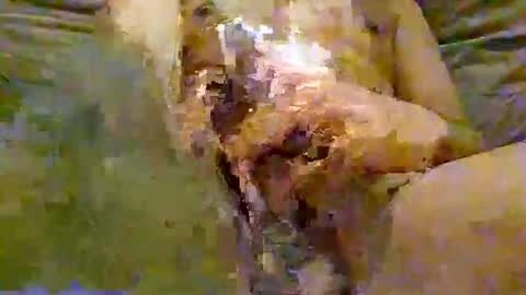 FeaturedCam online show from June 2, 2026, 10:01 pm