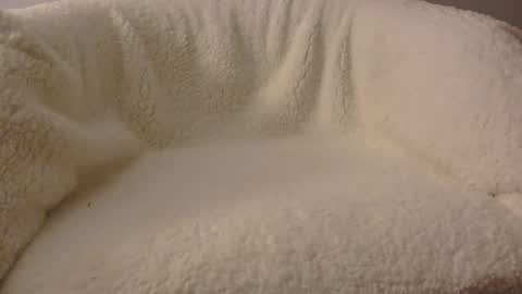 feels_too_good online show from April 9, 2026, 2:11 am