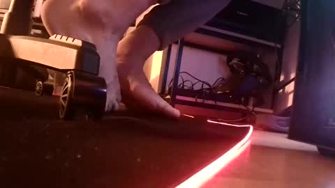 feetishman91 online show from March 27, 2026, 6:18 pm