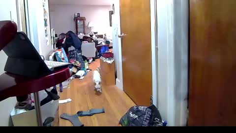 felicitybliss29 online show from November 6, 2025, 4:24 am