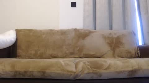 Snapshot of felinechic chatting on January 10, 2025, 4:44 am FelineChic online show from January 10, 2025, 4:44 am