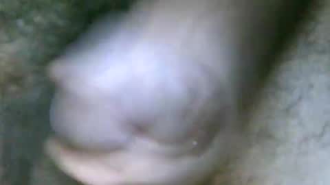 Snapshot of fer_2197 chatting on October 31, 2025, 1:45 pm fer_2197 online show from October 31, 2025, 1:45 pm