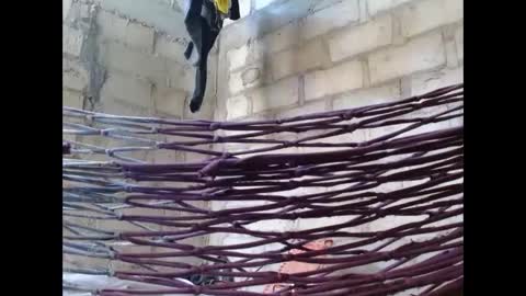 Snapshot of fernandez_latinblack chatting on October 1, 2025, 2:12 pm fernandez_latinblack online show from October 1, 2025, 2:12 pm