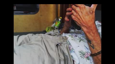 Snapshot of ferra_testarossa chatting on October 9, 2025, 5:05 am ferra_testarossa online show from October 9, 2025, 5:05 am