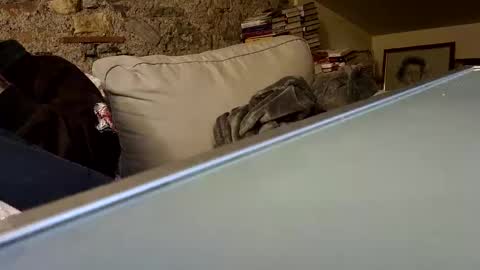 Fid online show from January 28, 2025, 10:23 pm