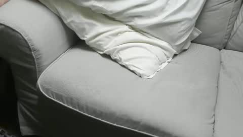 Fid online show from November 16, 2025, 9:48 am