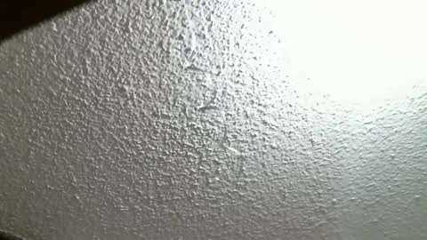 FIERYWOMAN online show from October 7, 2025, 4:26 pm