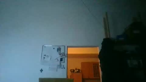 fine_nice online show from February 1, 2026, 10:08 pm
