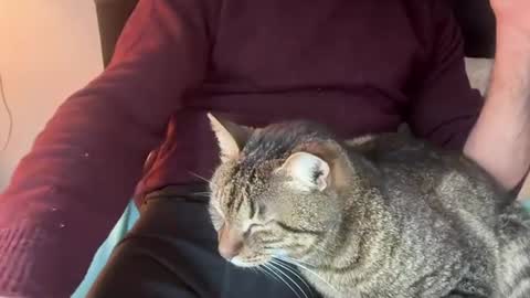 Snapshot of flametwin chatting on March 4, 2026, 2:01 pm firesoul online show from March 4, 2026, 2:01 pm