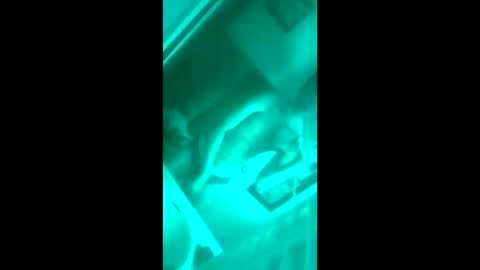 floridaloverboy88 online show from September 29, 2025, 5:29 pm