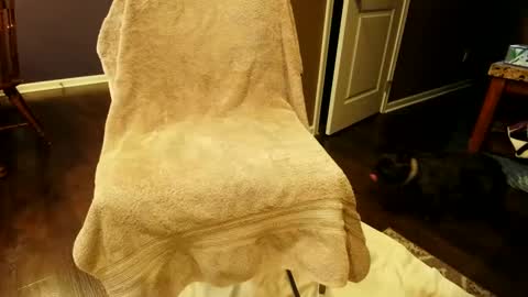 floryder86 online show from January 10, 2025, 7:32 pm