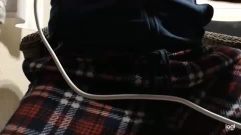 flowerpower622 online show from January 6, 2026, 10:23 pm