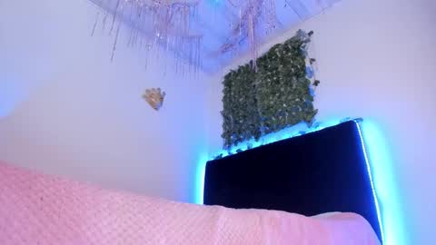 Snapshot of flylia_ chatting on February 10, 2026, 3:38 pm lia online show from February 10, 2026, 3:38 pm