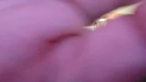 focusfuker online show from November 14, 2025, 11:13 pm