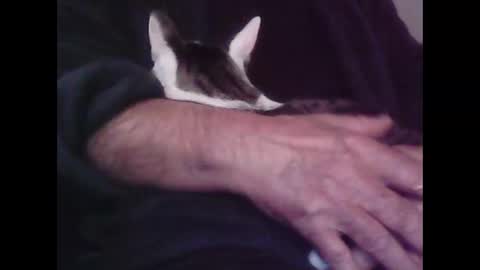 Snapshot of foolmonty chatting on October 12, 2025, 12:53 am Hooz2no online show from October 12, 2025, 12:53 am