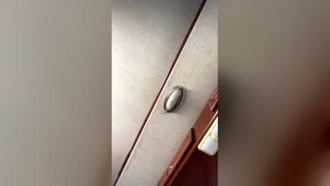 fordfocusz online show from March 16, 2026, 10:03 pm