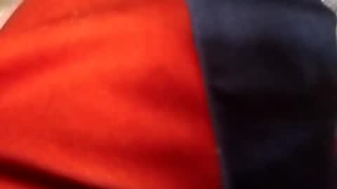 francis158915 online show from September 11, 2025, 5:02 pm