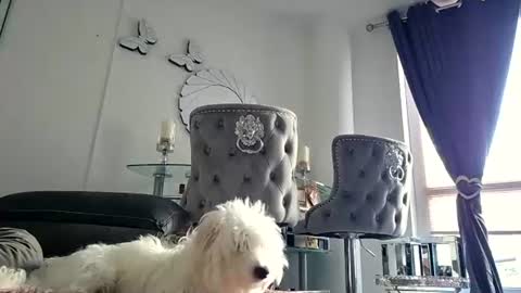 franciscomalin online show from July 29, 2026, 6:55 am
