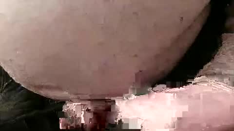 Snapshot of fredaldavid chatting on January 28, 2025, 5:03 pm David Fredal online show from January 28, 2025, 5:03 pm