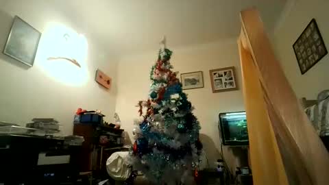 Keith online show from December 5, 2024, 7:49 pm