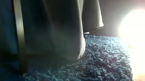 Snapshot of fredthetom12 chatting on January 16, 2025, 6:59 pm Greedy Fred online show from January 16, 2025, 6:59 pm