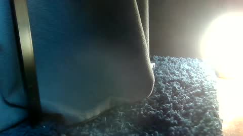 Snapshot of fredthetom12 chatting on February 6, 2025, 7:18 pm Greedy Fred online show from February 6, 2025, 7:18 pm