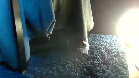 Snapshot of fredthetom12 chatting on February 14, 2025, 8:59 pm Greedy Fred online show from February 14, 2025, 8:59 pm